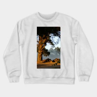 Pine and Piles  - Adelaide Hills Wine Region - Fleurieu Peninsula - by South Australian artist Avril Thomas Crewneck Sweatshirt